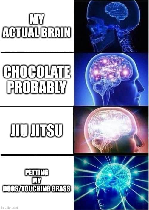 Brain meme with 4 panels